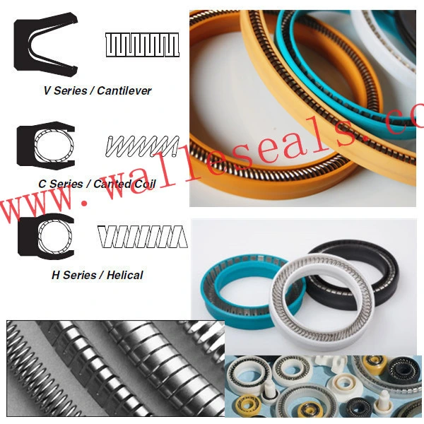 Hydraulic PTFE Spring Energized Seals