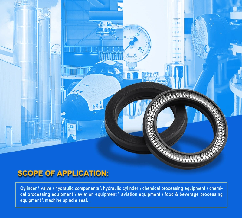 PTFE +Carbon Spring Energized Seals Auto Pump Valve Hydraulic Seal