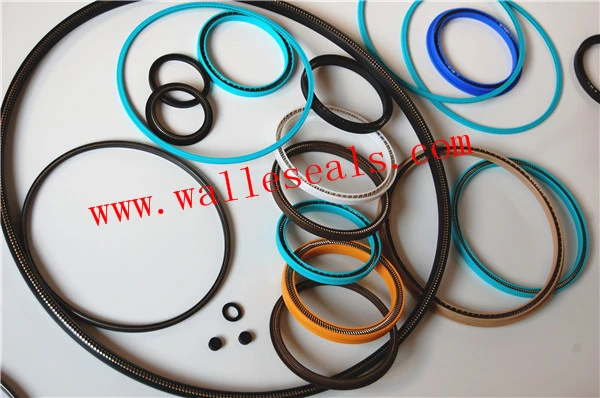 Metering Dosing Pumpls PTFE Spring Energized Seals