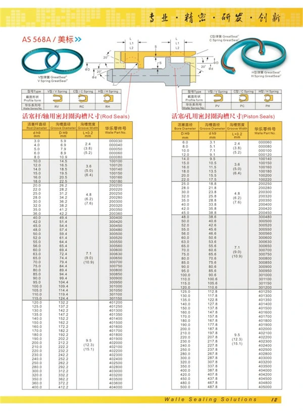 Metering Dosing Pumpls PTFE Spring Energized Seals