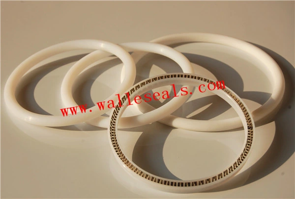 Mechanical Euipment Variseal Spring Energized Seals