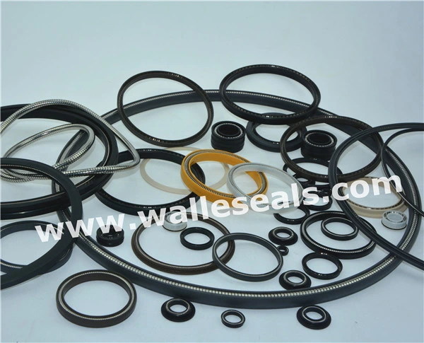 Variseal PTFE Spring Seals