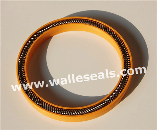 Variseal PTFE Spring Seals